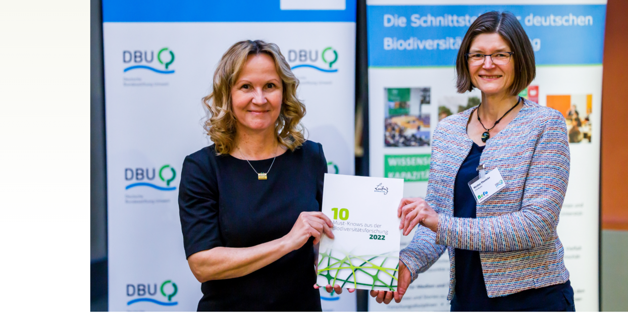 Headerbild